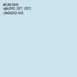 #CAE3ED - Jagged Ice Color Image